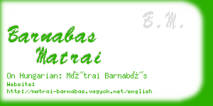 barnabas matrai business card